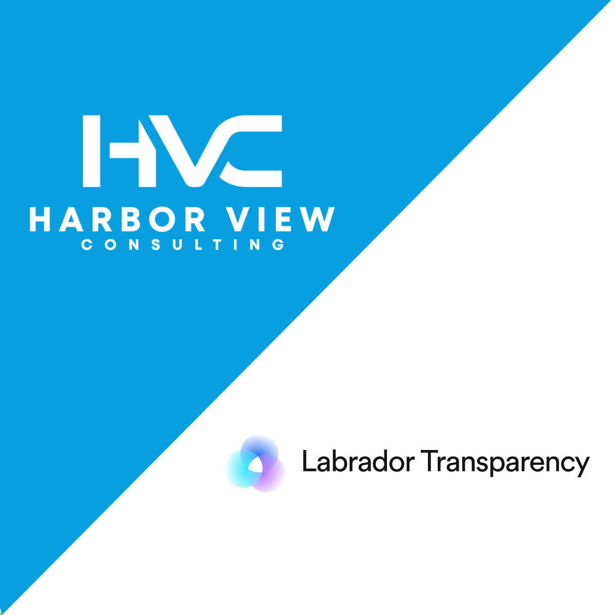 Harbor View Consulting Announces Strategic Collaboration with Labrador